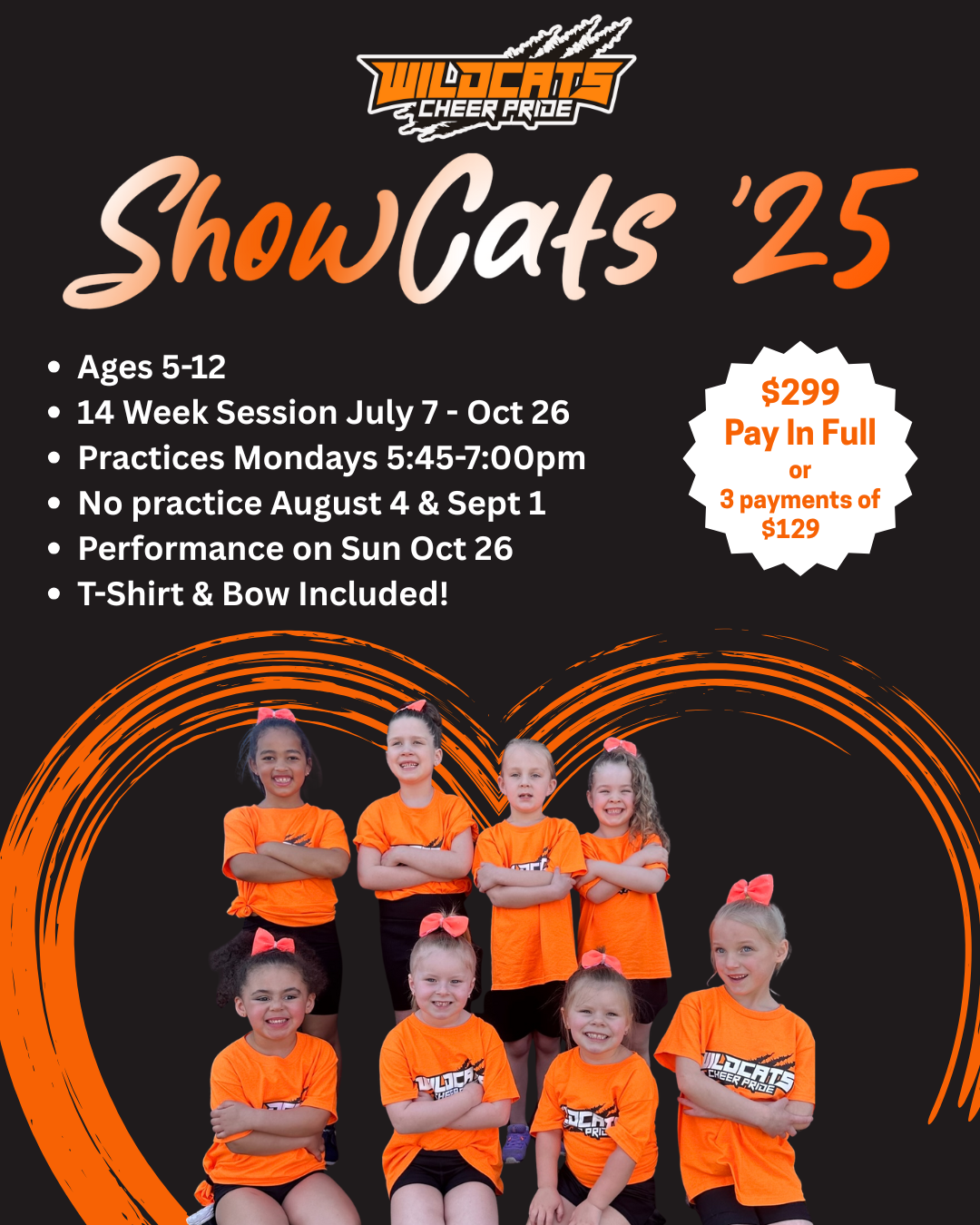 ShowCats '25 Information Graphic