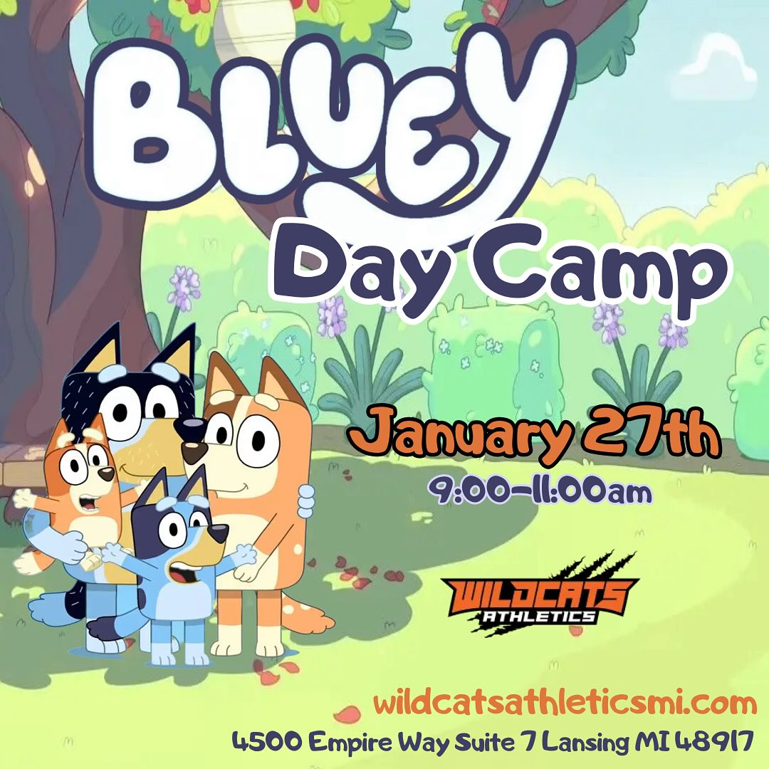 bluey day camp