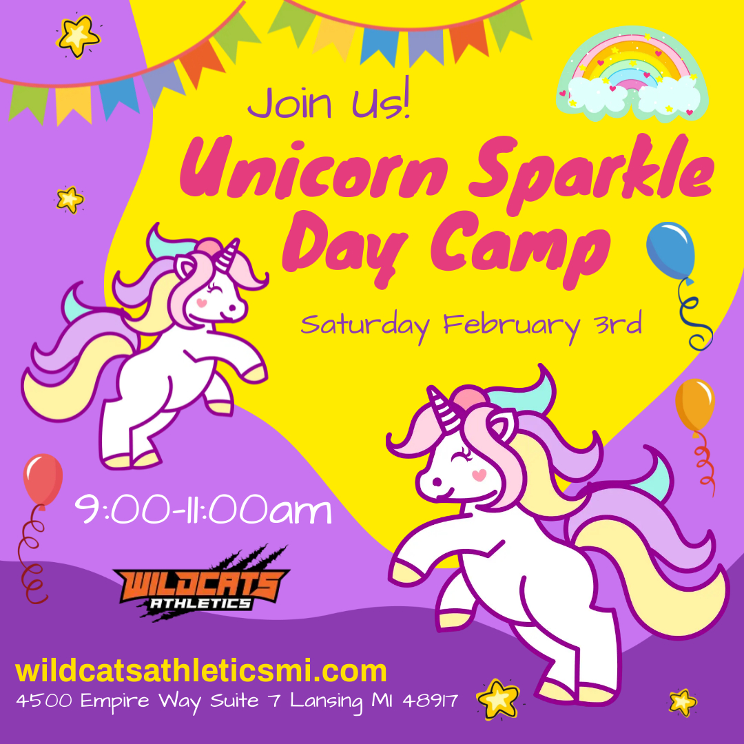 unicorn flyer