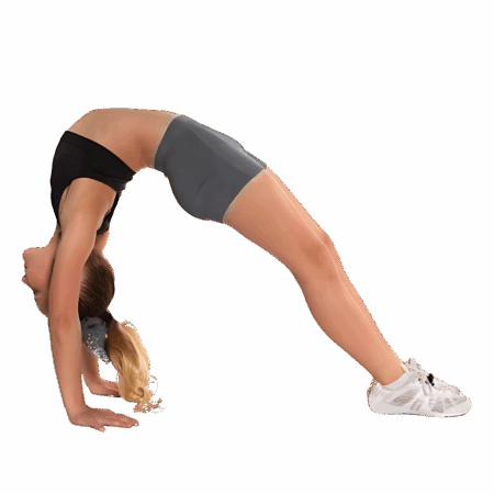 Semi Private Lessons Semi Private Lessons