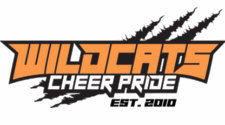 Wildcats copy